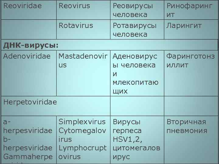 Reoviridae Reovirus Rotavirus Реовирусы Ринофаринг человека ит Ротавирусы Ларингит человека ДНК-вирусы: Adenoviridae Mastadenovir Аденовирус