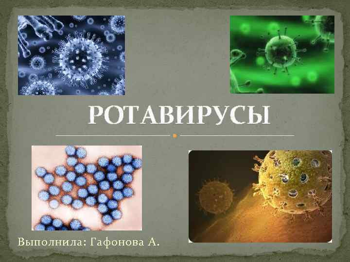 РОТАВИРУСЫ Выполнила: Гафонова А. 