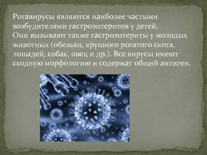 Ротавирусы являются наиболее частыми возбудителями гастроэнтеритов у детей. Они вызывают также гастроэнтериты у молодых