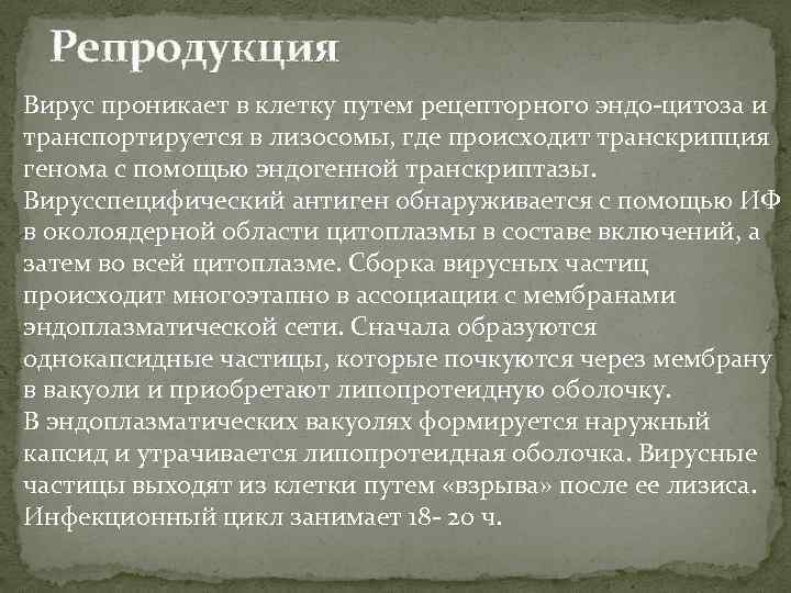 Репродукция Вирус проникает в клетку путем рецепторного эндо-цитоза и транспортируется в лизосомы, где происходит