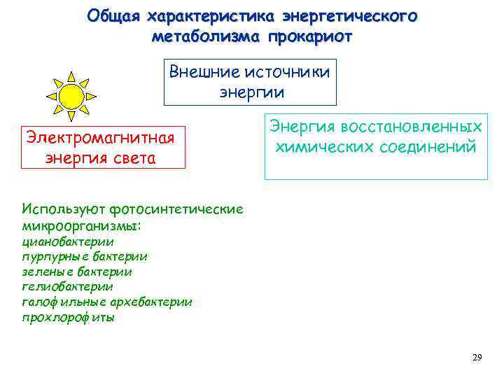 Общая характеристика энергетического метаболизма прокариот Внешние источники энергии Электромагнитная энергия света Энергия восстановленных химических