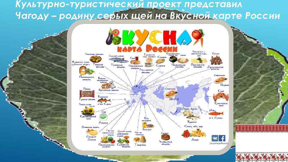 Культурно-туристический проект представил Чагоду – родину серых щей на Вкусной карте России 