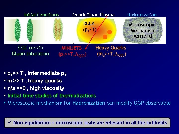 Initial Conditions Quark-Gluon Plasma BULK (p. T~T) CGC (x<<1) Gluon saturation MINIJETS (p. T>>T,