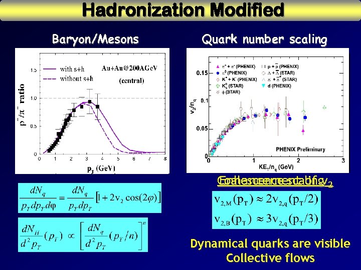 Hadronization Modified Baryon/Mesons Quark number scaling u u+A A p+p PHENIX, PRL 89(2003) v