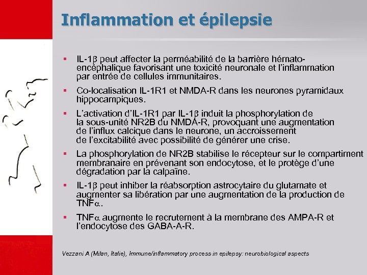 Inflammation et épilepsie § IL-1 peut affecter la perméabilité de la barrière hématoencéphalique favorisant
