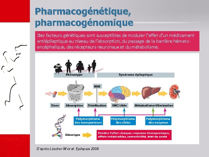 Pharmacogénétique, pharmacogénomique Des facteurs génétiques sont susceptibles de moduler l’effet d’un médicament antiépileptique au