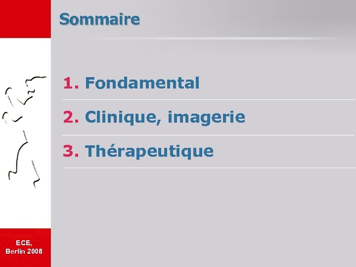Sommaire 1. Fondamental 2. Clinique, imagerie 3. Thérapeutique ECE, Berlin 2008 
