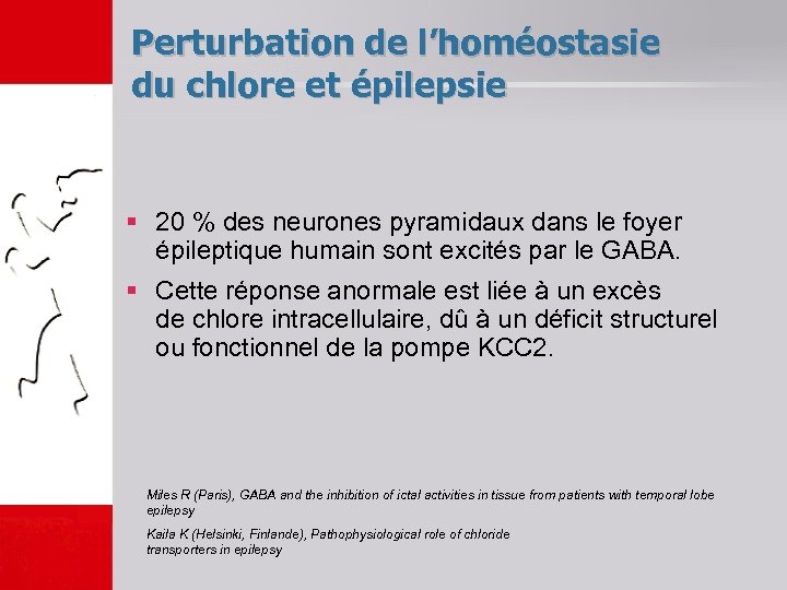 Perturbation de l’homéostasie du chlore et épilepsie § 20 % des neurones pyramidaux dans
