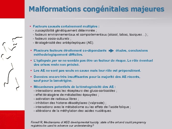 Malformations congénitales majeures § Facteurs causals certainement multiples : - susceptibilité génétiquement déterminée ;