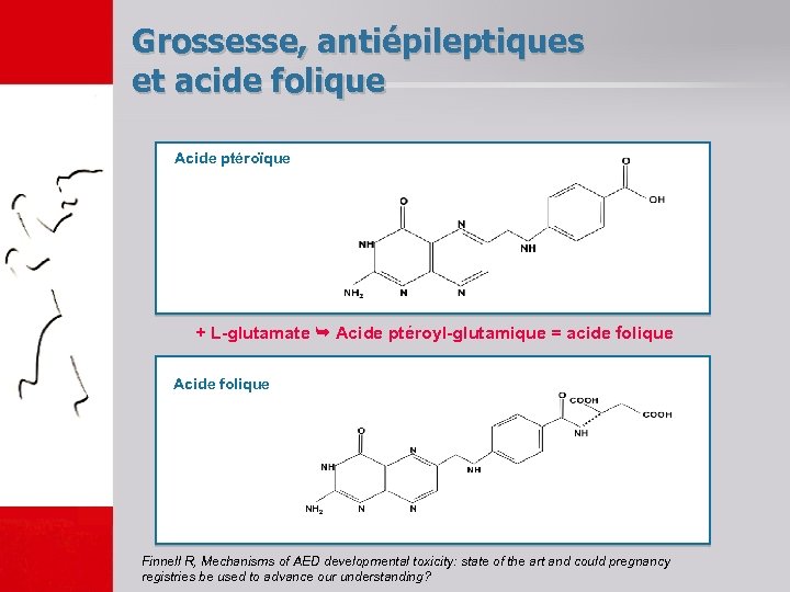 Grossesse, antiépileptiques et acide folique Acide ptéroïque + L-glutamate Acide ptéroyl-glutamique = acide folique