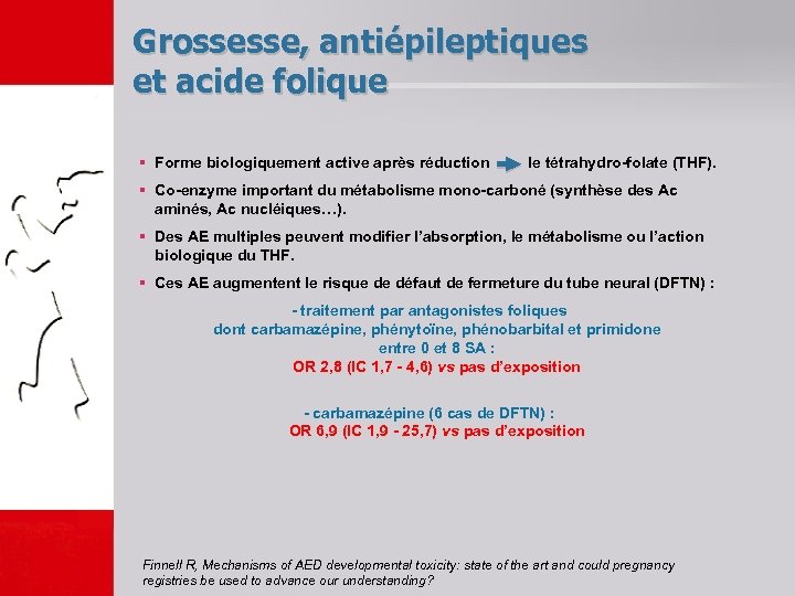 Grossesse, antiépileptiques et acide folique § Forme biologiquement active après réduction le tétrahydro-folate (THF).