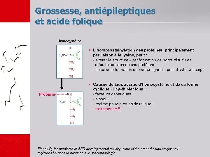 Grossesse, antiépileptiques et acide folique Homocystéine § L’homocystéinylation des protéines, principalement par liaison à