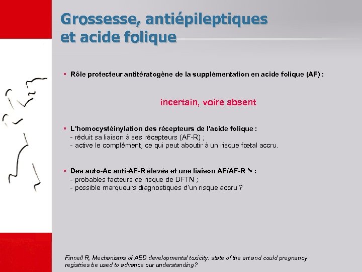 Grossesse, antiépileptiques et acide folique § Rôle protecteur antitératogène de la supplémentation en acide