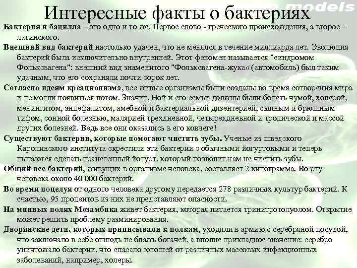 Интересные факты о бактериях Бактерия и бацилла – это одно и то же. Первое