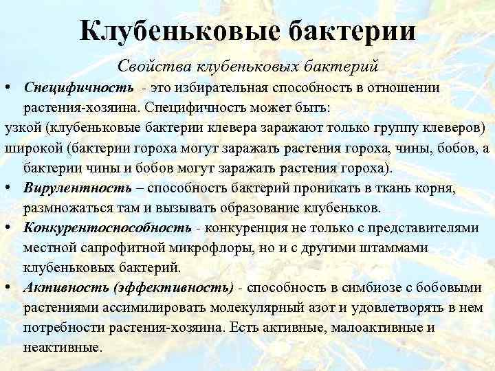 Клубеньковые бактерии Свойства клубеньковых бактерий • Специфичность - это избирательная способность в отношении растения-хозяина.