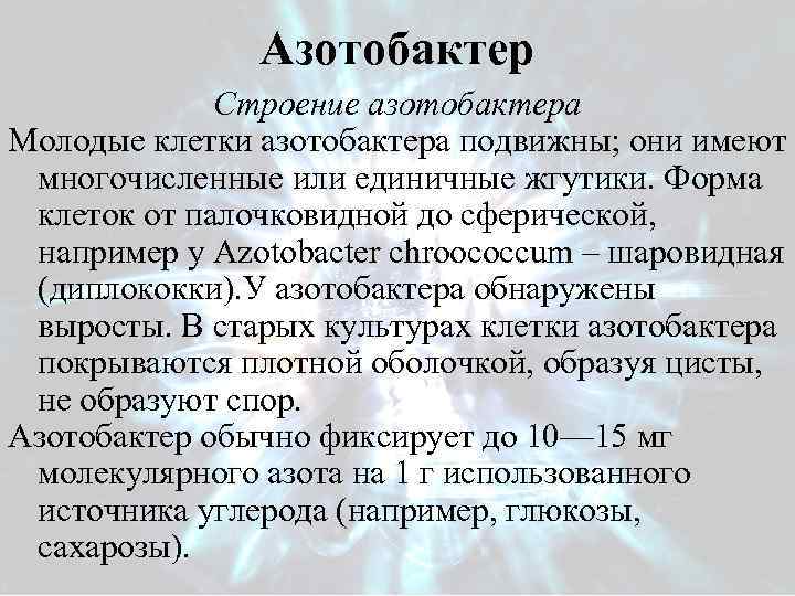 Азотобактер Строение азотобактера Молодые клетки азотобактера подвижны; они имеют многочисленные или единичные жгутики. Форма