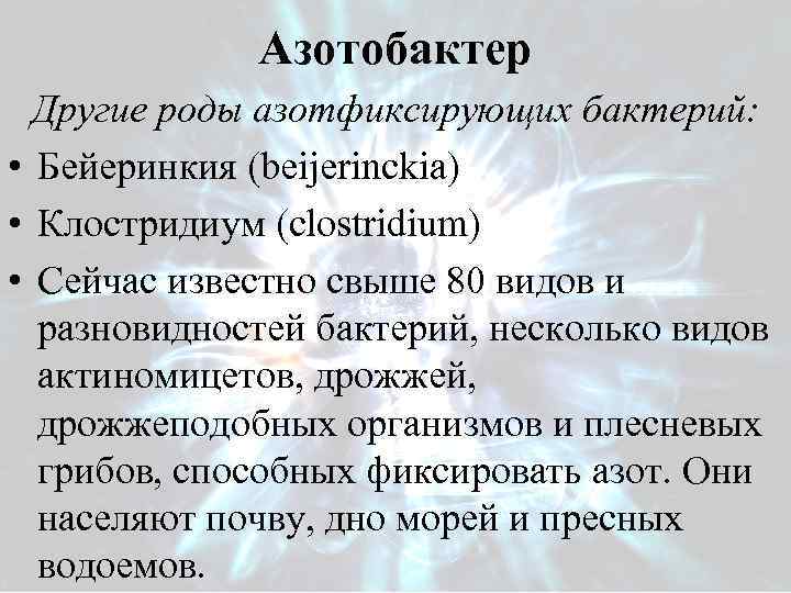 Азотобактер Другие роды азотфиксирующих бактерий: • Бейеринкия (beijerinckia) • Клостридиум (clostridium) • Сейчас известно