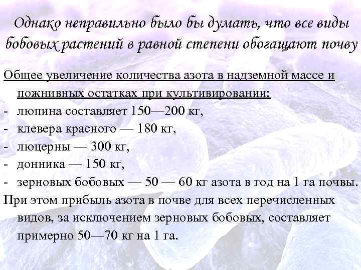 Однако неправильно было бы думать, что все виды бобовых растений в равной степени обогащают