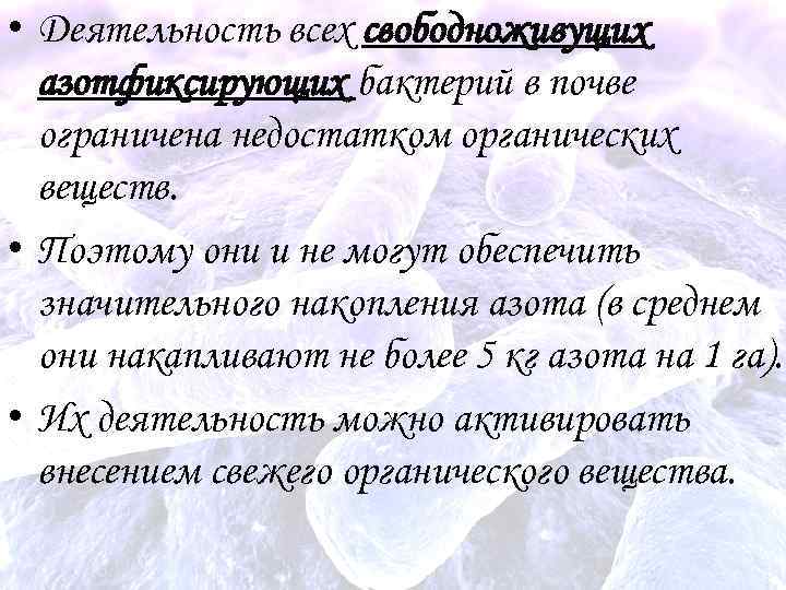  • Деятельность всех свободноживущих азотфиксирующих бактерий в почве ограничена недостатком органических веществ. •