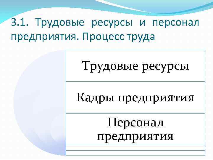 3. 1. Трудовые ресурсы и персонал предприятия. Процесс труда Трудовые ресурсы Кадры предприятия Персонал