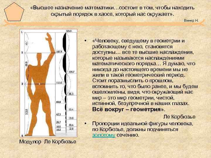  «Высшее назначение математики…состоит в том, чтобы находить скрытый порядок в хаосе, который нас