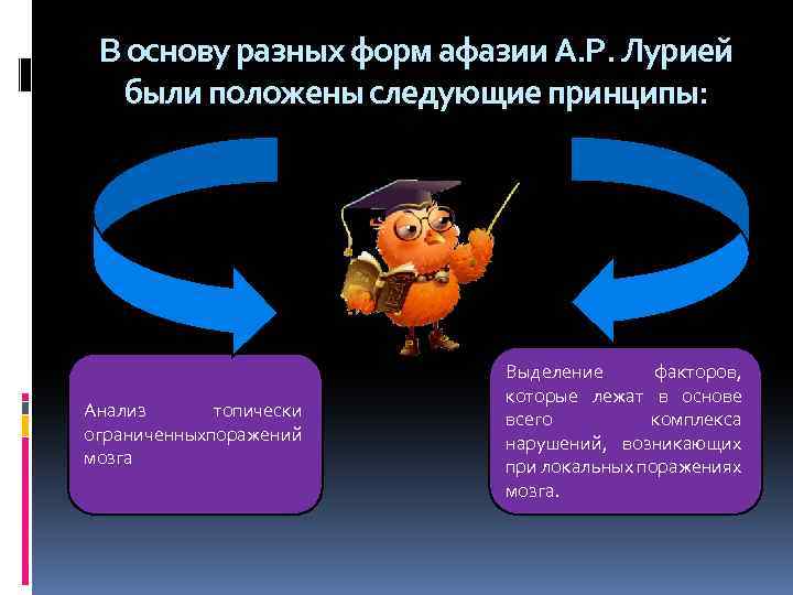 В основу разных форм афазии А. Р. Лурией были положены следующие принципы: Анализ топически