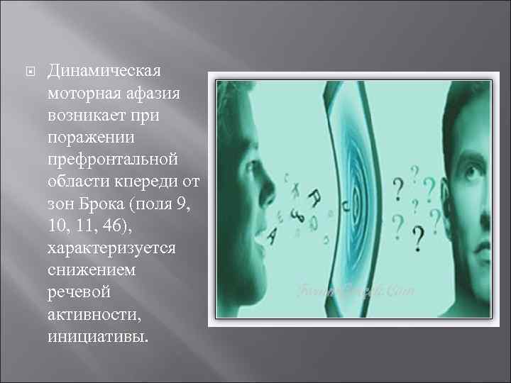  Динамическая моторная афазия возникает при поражении префронтальной области кпереди от зон Брока (поля