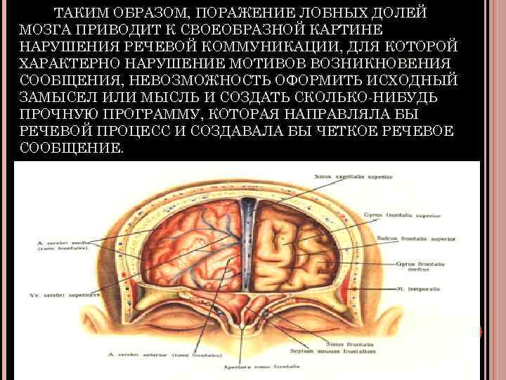 ТАКИМ ОБРАЗОМ, ПОРАЖЕНИЕ ЛОБНЫХ ДОЛЕЙ МОЗГА ПРИВОДИТ К СВОЕОБРАЗНОЙ КАРТИНЕ НАРУШЕНИЯ РЕЧЕВОЙ КОММУНИКАЦИИ, ДЛЯ