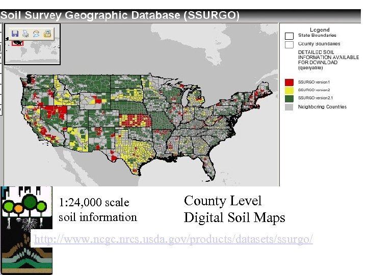 1: 24, 000 scale soil information County Level Digital Soil Maps http: //www. ncgc.