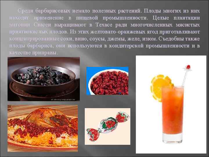 Среди барбарисовых немало полезных растений. Плоды многих из них находят применение в пищевой промышленности.