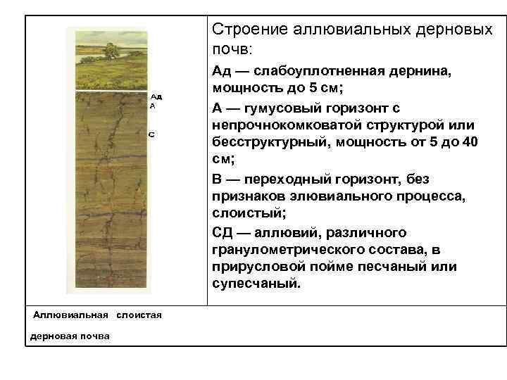 Аллювиальные почвы презентация