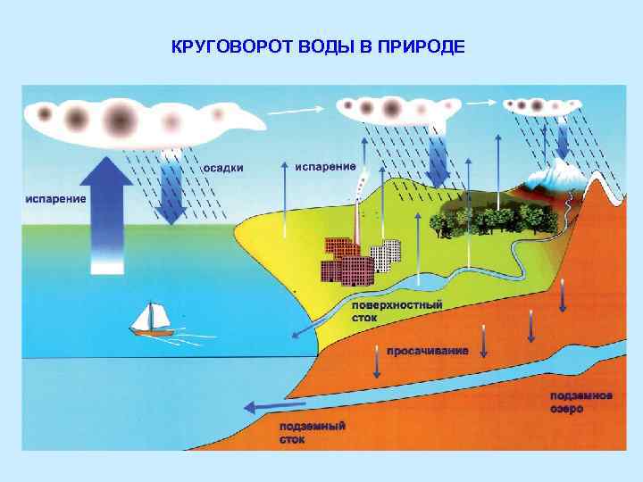 Какими буквами на схеме круговорота воды отмечены