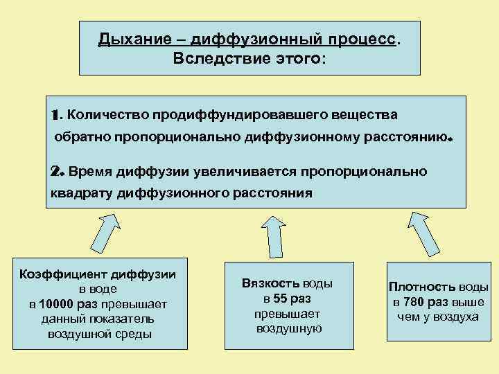 Дыхание – диффузионный процесс. Вследствие этого: 1. Количество продиффундировавшего вещества обратно пропорционально диффузионному расстоянию.