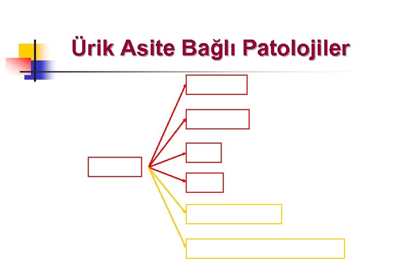 Ürik Asite Bağlı Patolojiler 