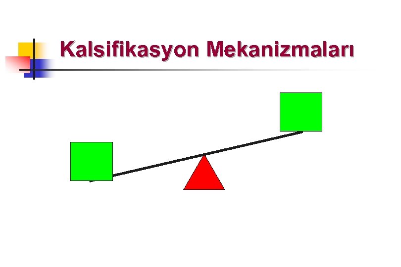 Kalsifikasyon Mekanizmaları 