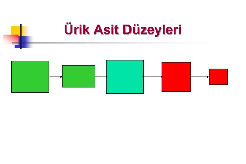 Ürik Asit Düzeyleri 