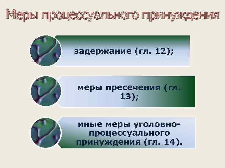 Меры процессуального принуждения задержание (гл. 12); меры пресечения (гл. 13); иные меры уголовнопроцессуального принуждения