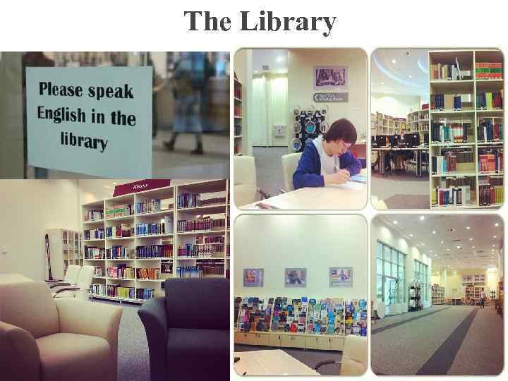 The Library 