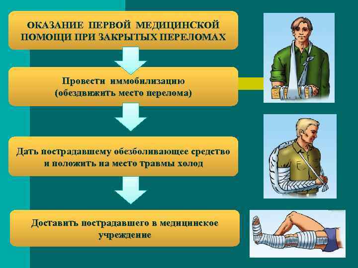 ОКАЗАНИЕ ПЕРВОЙ МЕДИЦИНСКОЙ ПОМОЩИ ПРИ ЗАКРЫТЫХ ПЕРЕЛОМАХ Провести иммобилизацию (обездвижить место перелома) Дать пострадавшему