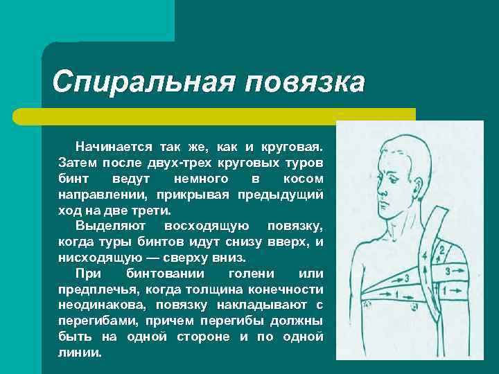 Спиральная повязка Начинается так же, как и круговая. Затем после двух-трех круговых туров бинт
