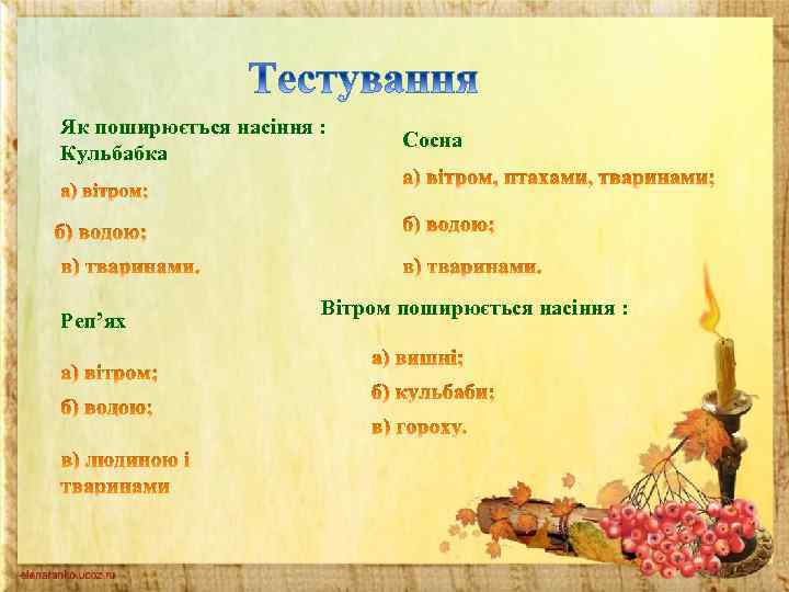 Як поширюється насіння : Кульбабка Реп’ях Сосна Вітром поширюється насіння : 
