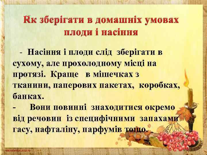 Як зберігати в домашніх умовах плоди і насіння - Насіння і плоди слід зберігати