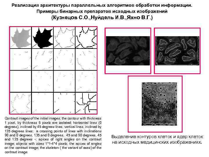 Реализация архитектуры параллельных алгоритмов обработки информации. Примеры бинарных препаратов исходных изображений (Кузнецов С. О.