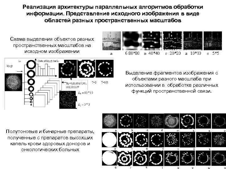 Реализация архитектуры параллельных алгоритмов обработки информации. Представление исходного изображения в виде областей разных пространственных