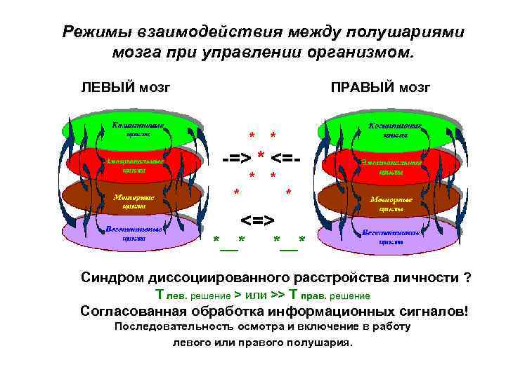 Режимы взаимодействия между полушариями мозга при управлении организмом. ЛЕВЫЙ мозг ПРАВЫЙ мозг * *