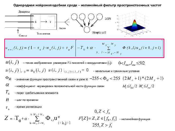 Однородная нейроноподобная среда – нелинейный фильтр пространственных частот – точка изображения размером I*J пикселей