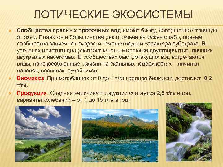 ЛОТИЧЕСКИЕ ЭКОСИСТЕМЫ Сообщества пресных проточных вод имеют биоту, совершенно отличную от озер. Планктон в