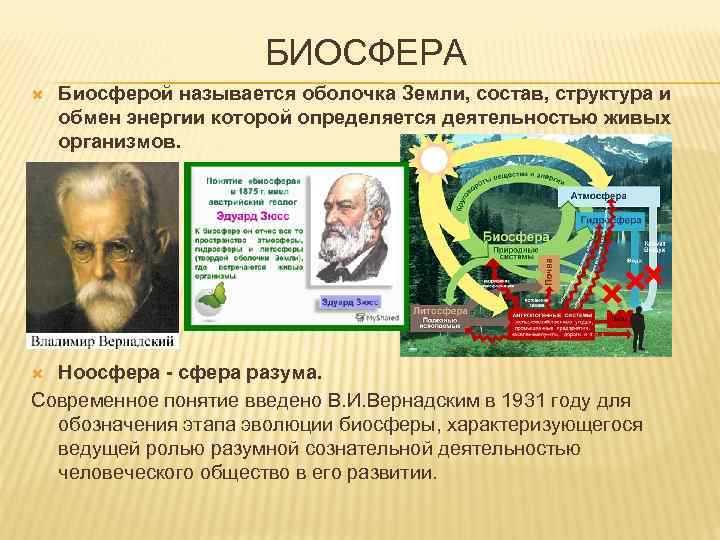 Как назвал биосферу в и вернадский. Почему Вернадский назвал биосферу пленкой жизни.