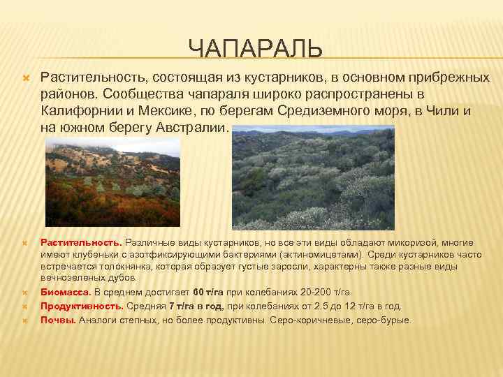ЧАПАРАЛЬ Растительность, состоящая из кустарников, в основном прибрежных районов. Сообщества чапараля широко распространены в