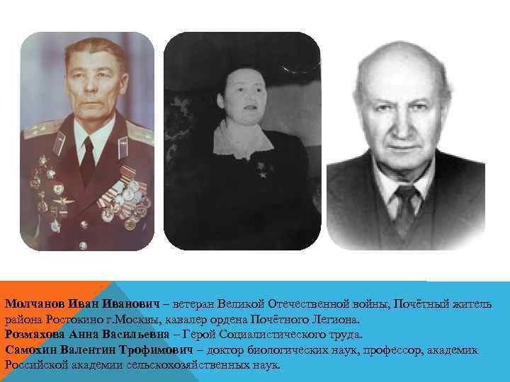 Молчанов Иванович – ветеран Великой Отечественной войны, Почётный житель района Ростокино г. Москвы, кавалер